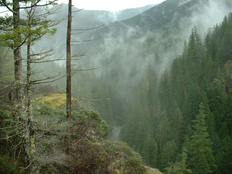 Opal Creek Wilderness