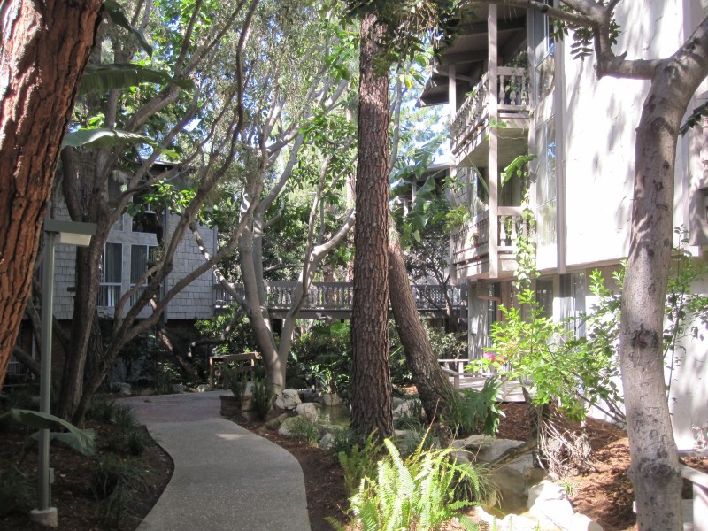 Meadows Apartments